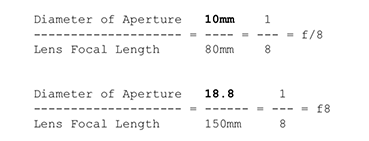 Fig_ copy.png